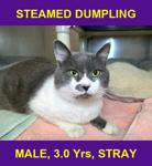 STEAMED DUMPLING